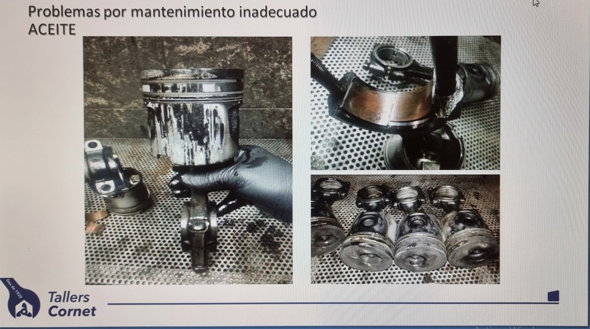 Imagen de Capitol 10 - 2012
